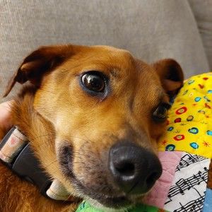 Meet your Posher, Hayley